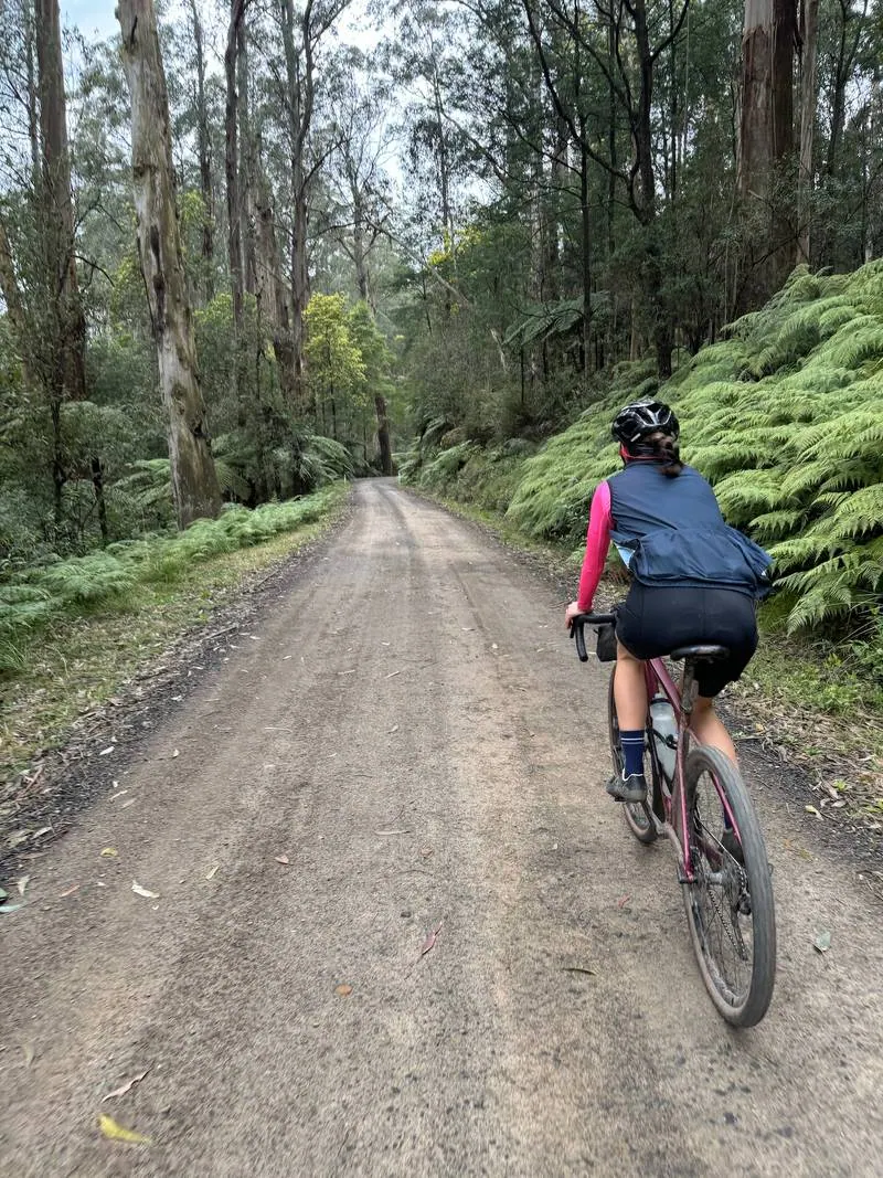 Warburton South Gravel Loop ride photo