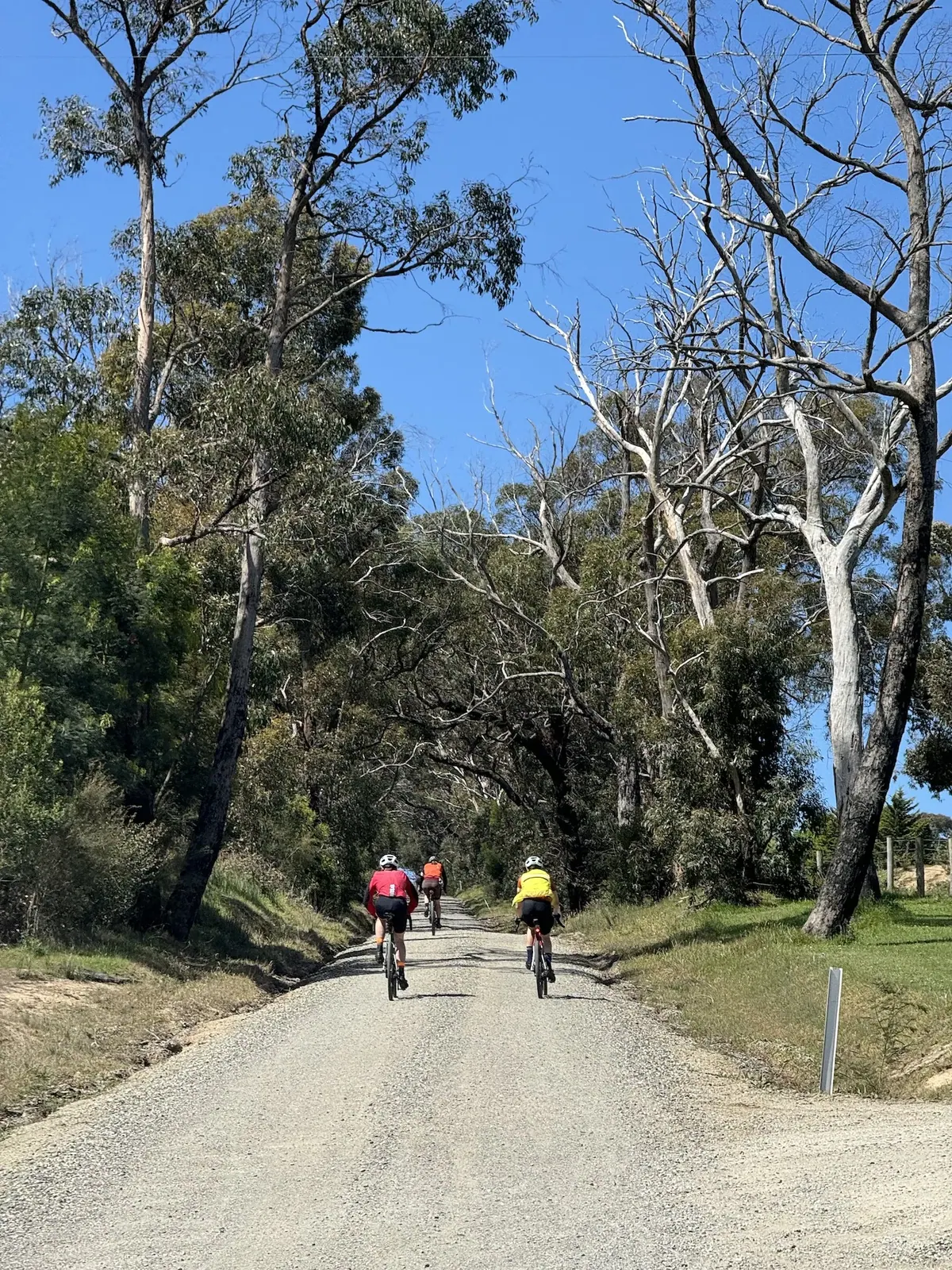 Search for the Bunyip, Audax ride photo