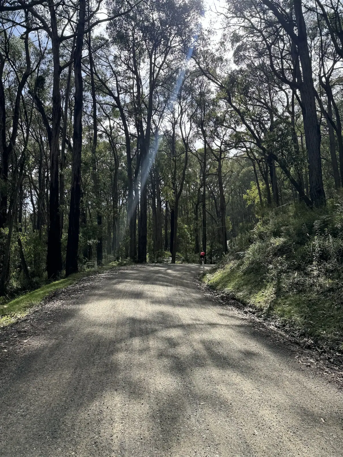 Search for the Bunyip, Audax ride photo