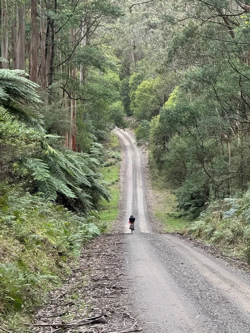 Warburton South Gravel Loop ride photo