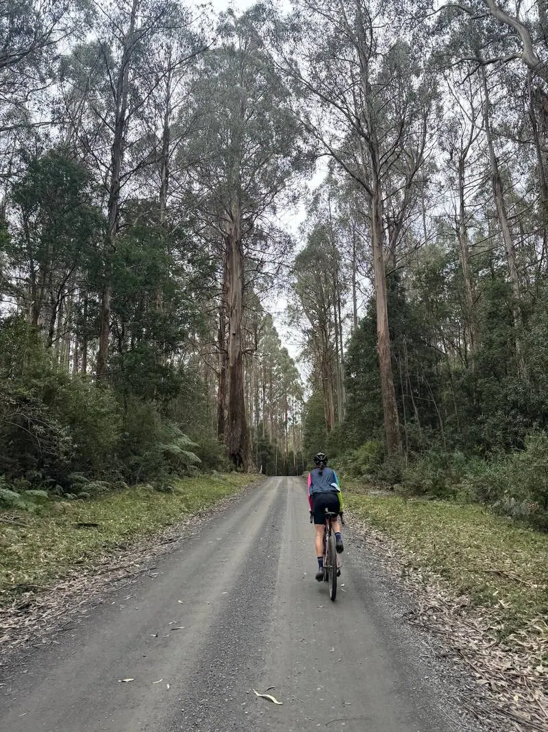 Warburton South Gravel Loop ride photo