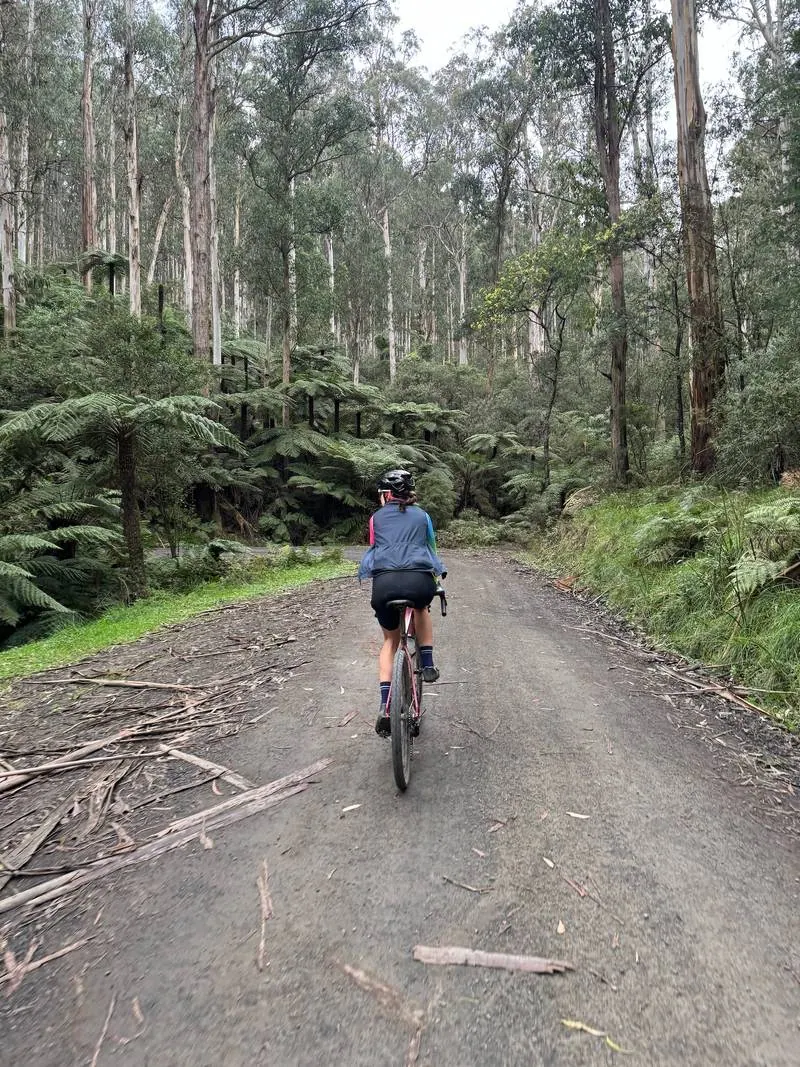 Warburton South Gravel Loop ride photo