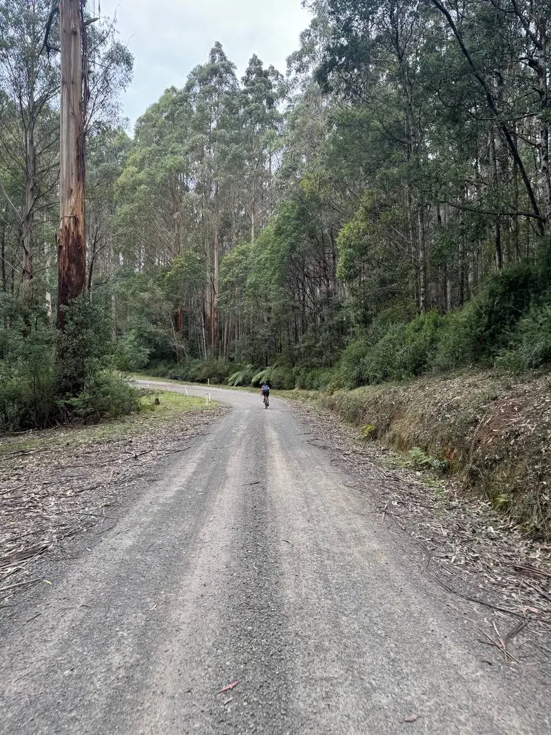 Warburton South Gravel Loop ride photo