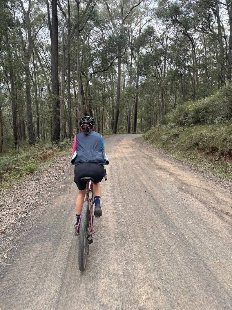 Warburton South Gravel Loop ride photo