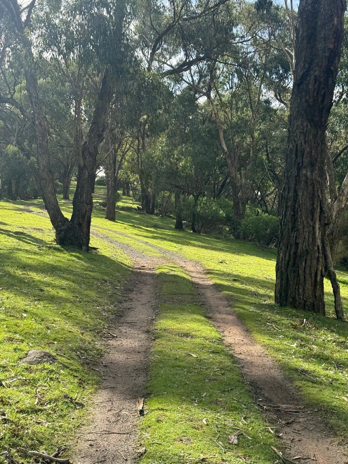 Lysterfield Park Gravel Loop ride photo