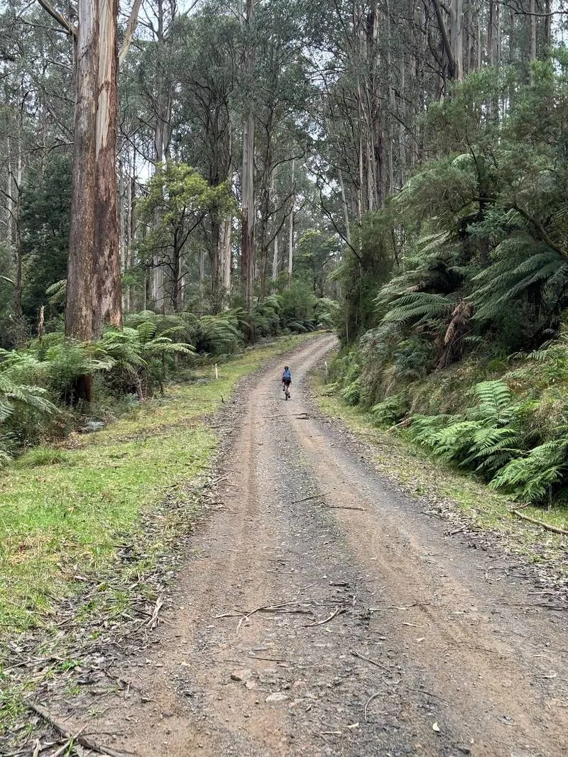 Warburton South Gravel Loop ride photo