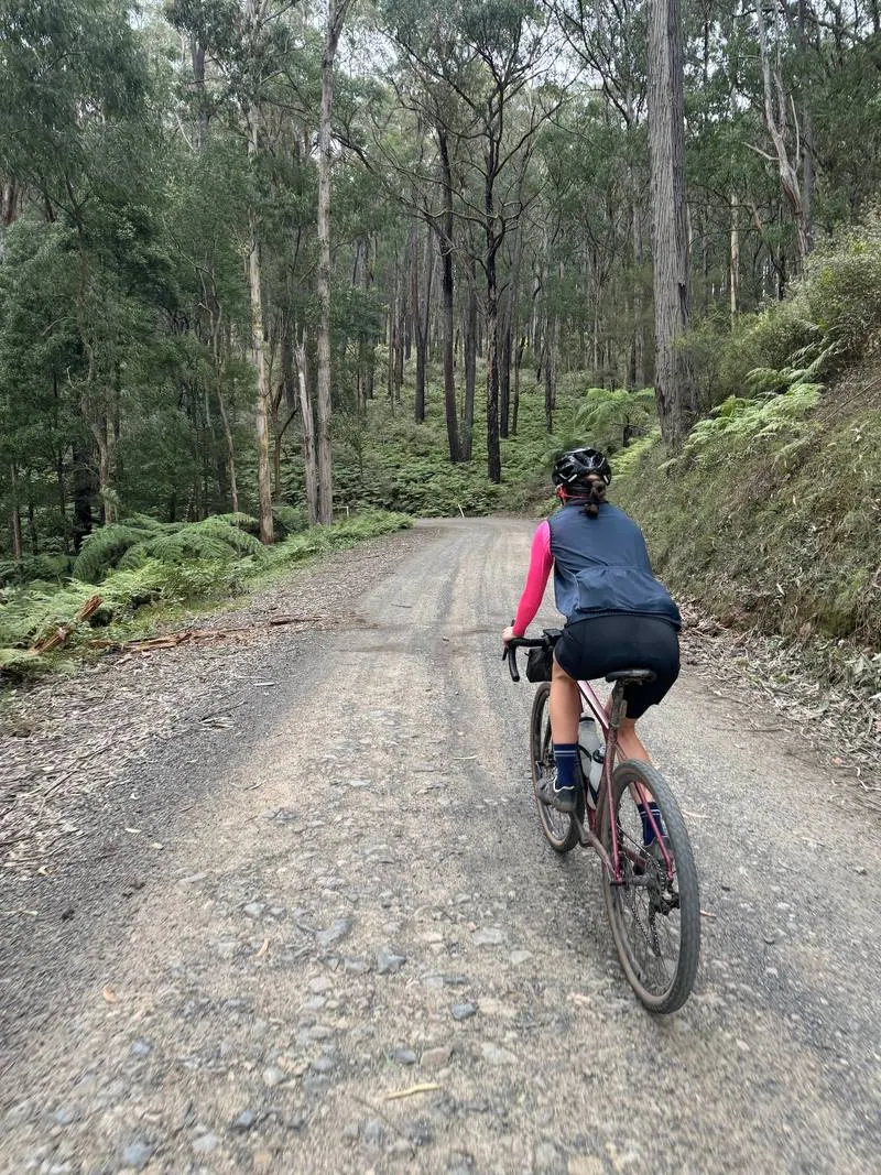 Warburton South Gravel Loop ride photo