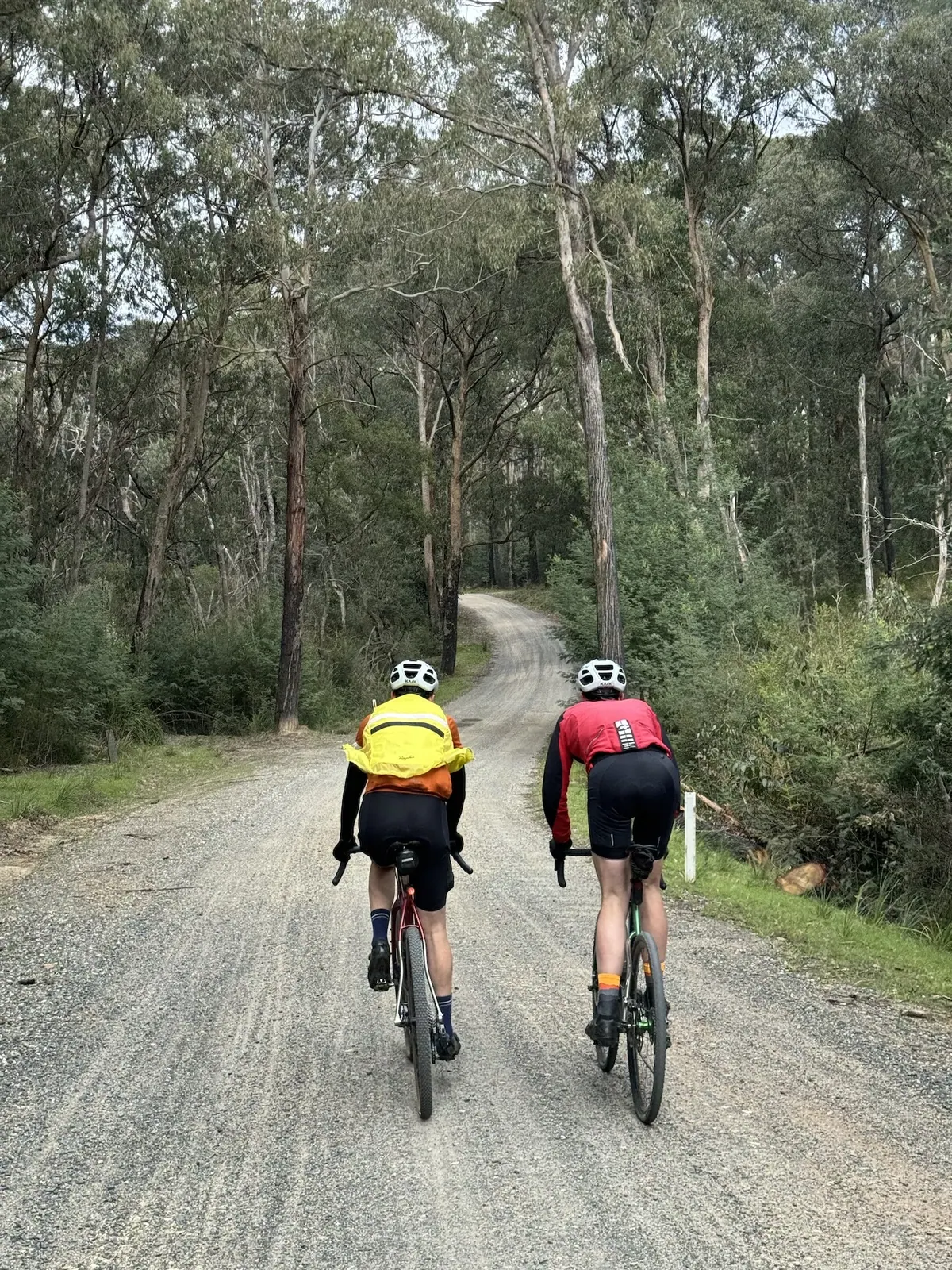 Search for the Bunyip, Audax ride photo