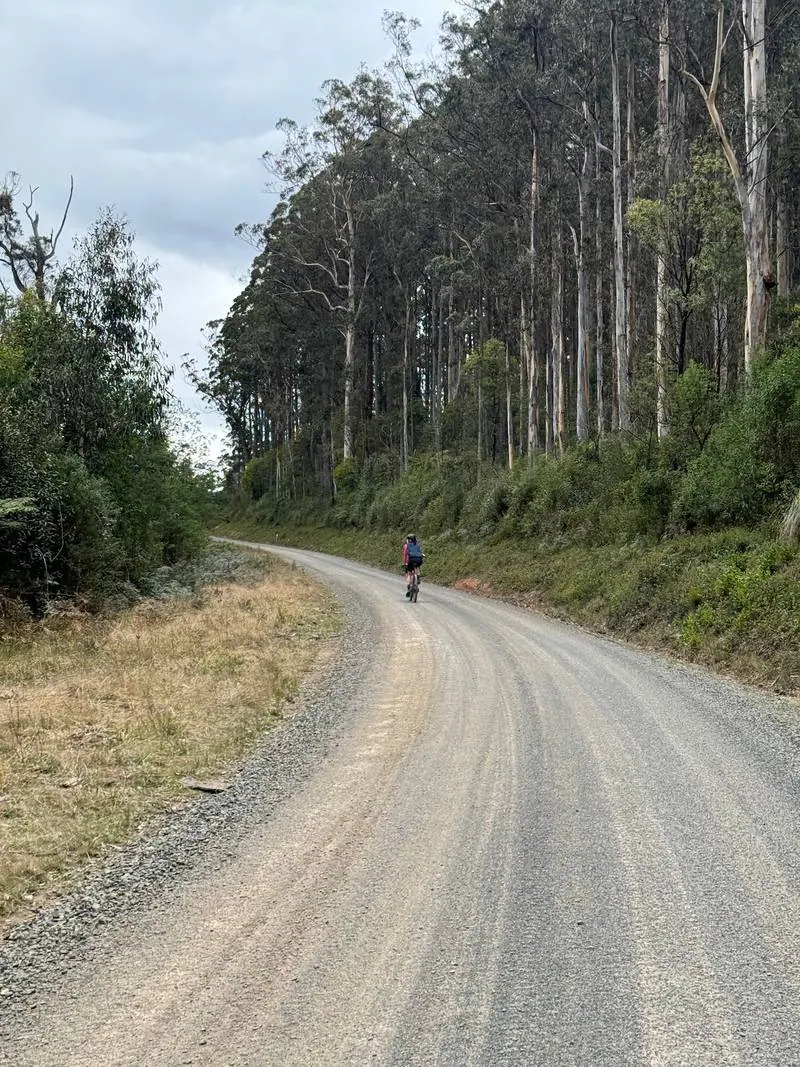 Warburton South Gravel Loop ride photo