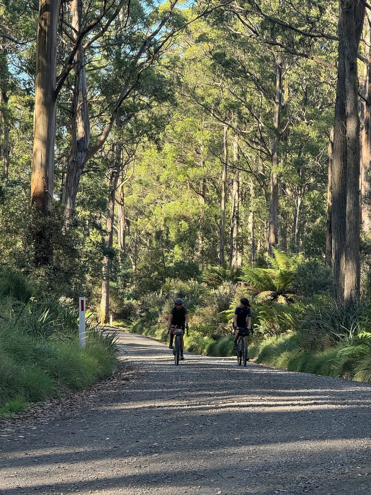 Dirty Donna ride photo