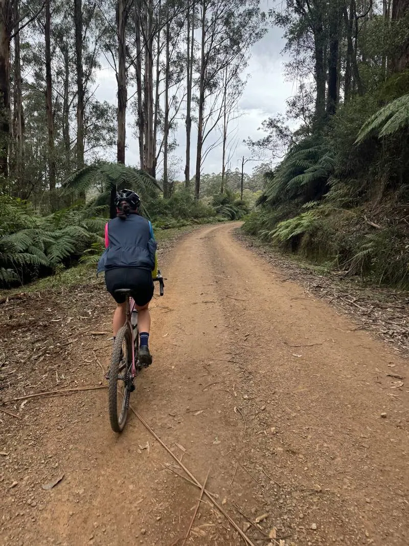 Warburton South Gravel Loop ride photo
