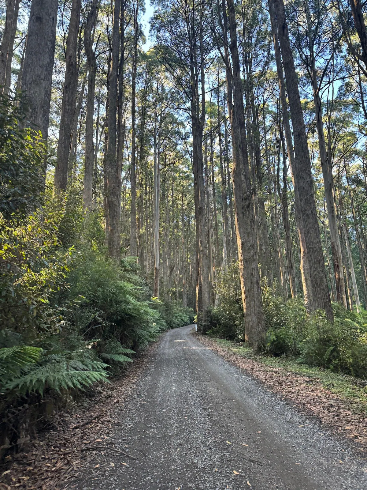 Dirty Donna ride photo