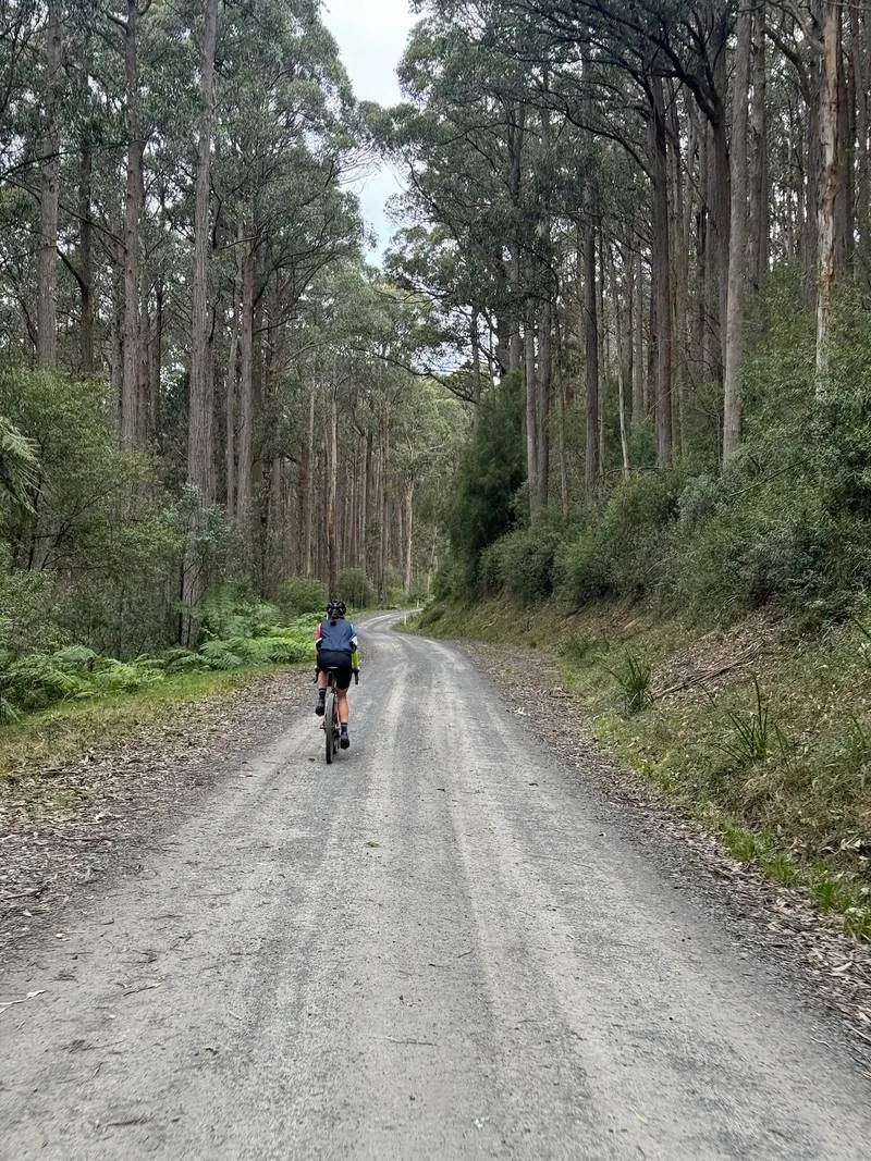 Warburton South Gravel Loop ride photo