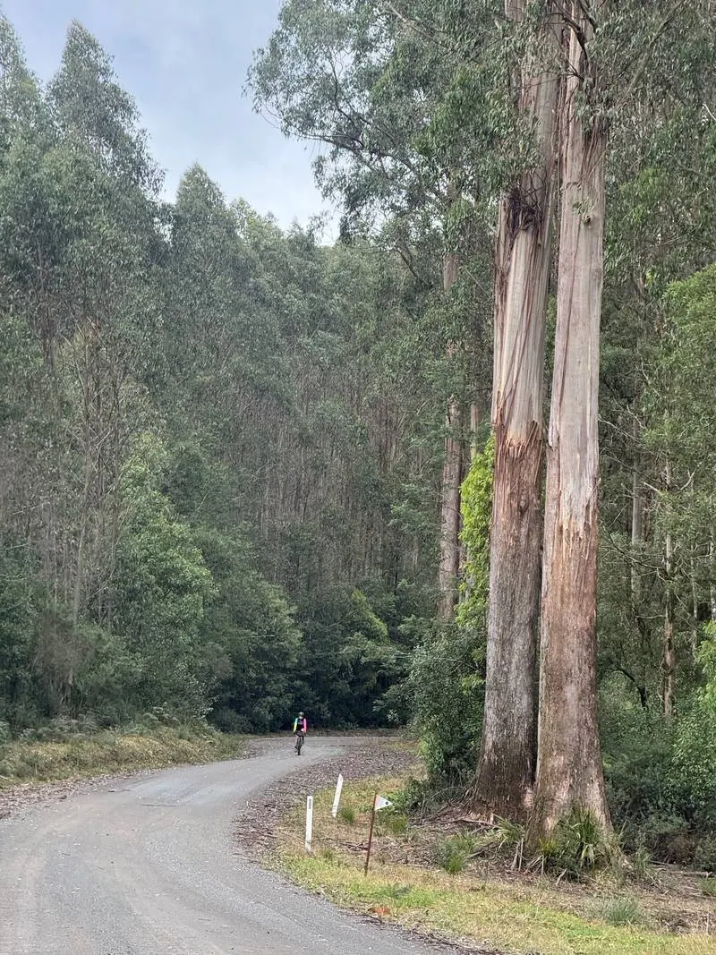 Warburton South Gravel Loop ride photo
