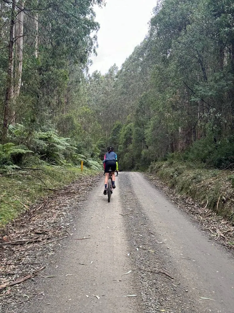 Warburton South Gravel Loop ride photo