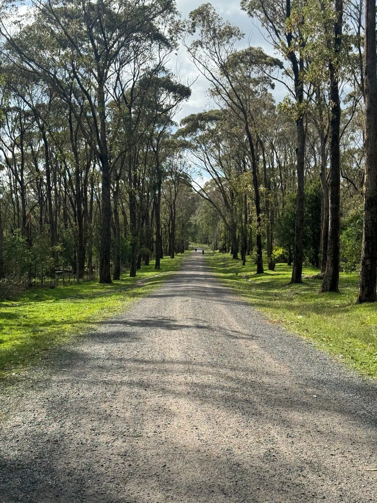 Lysterfield Park Gravel Loop ride photo