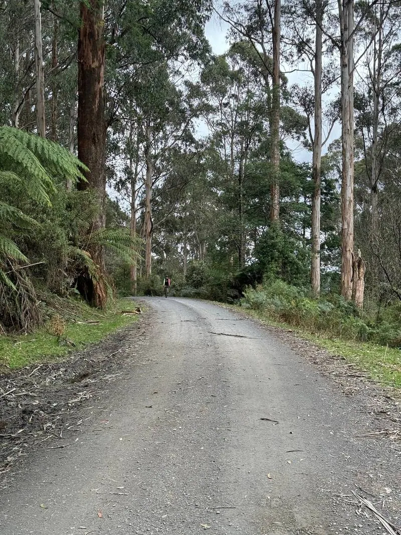 Warburton South Gravel Loop ride photo