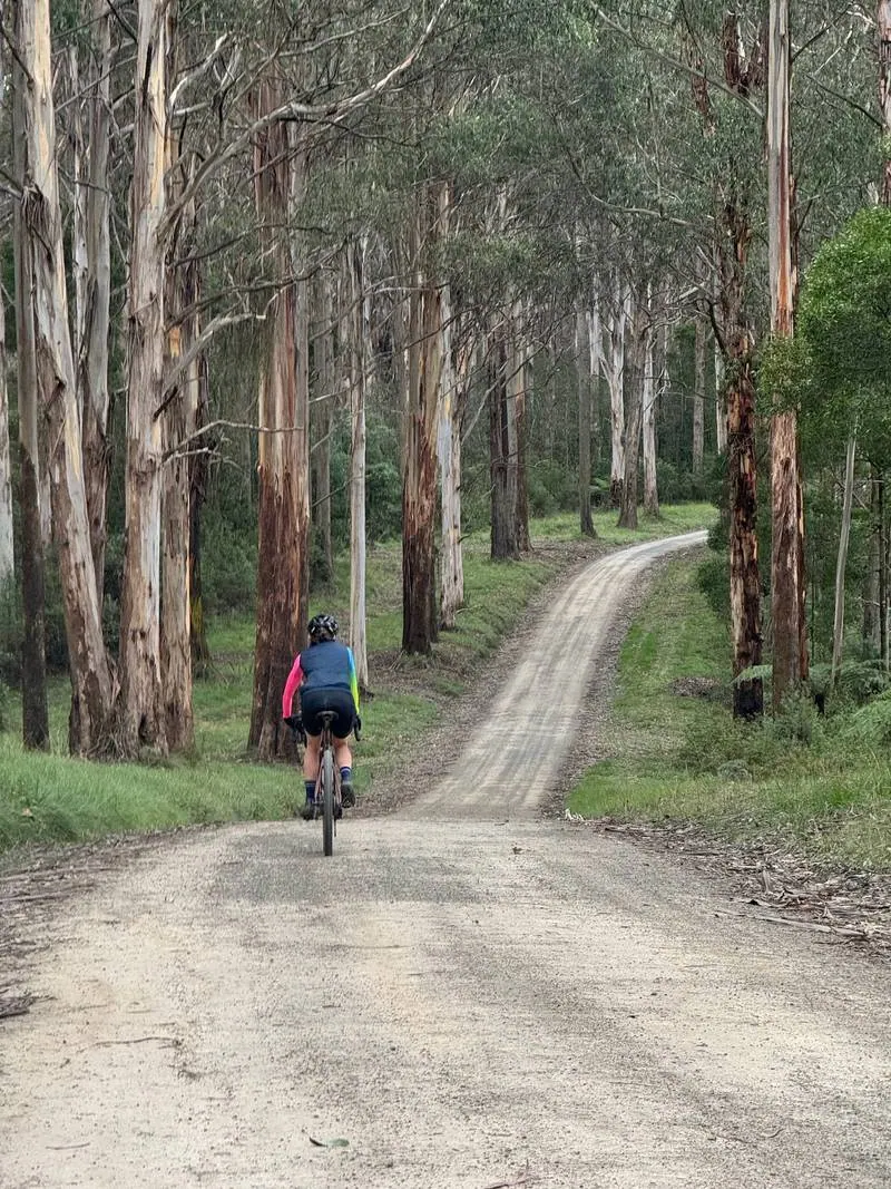 Warburton South Gravel Loop ride photo