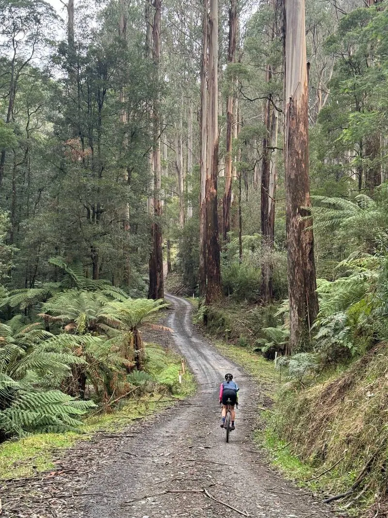 Warburton South Gravel Loop ride photo