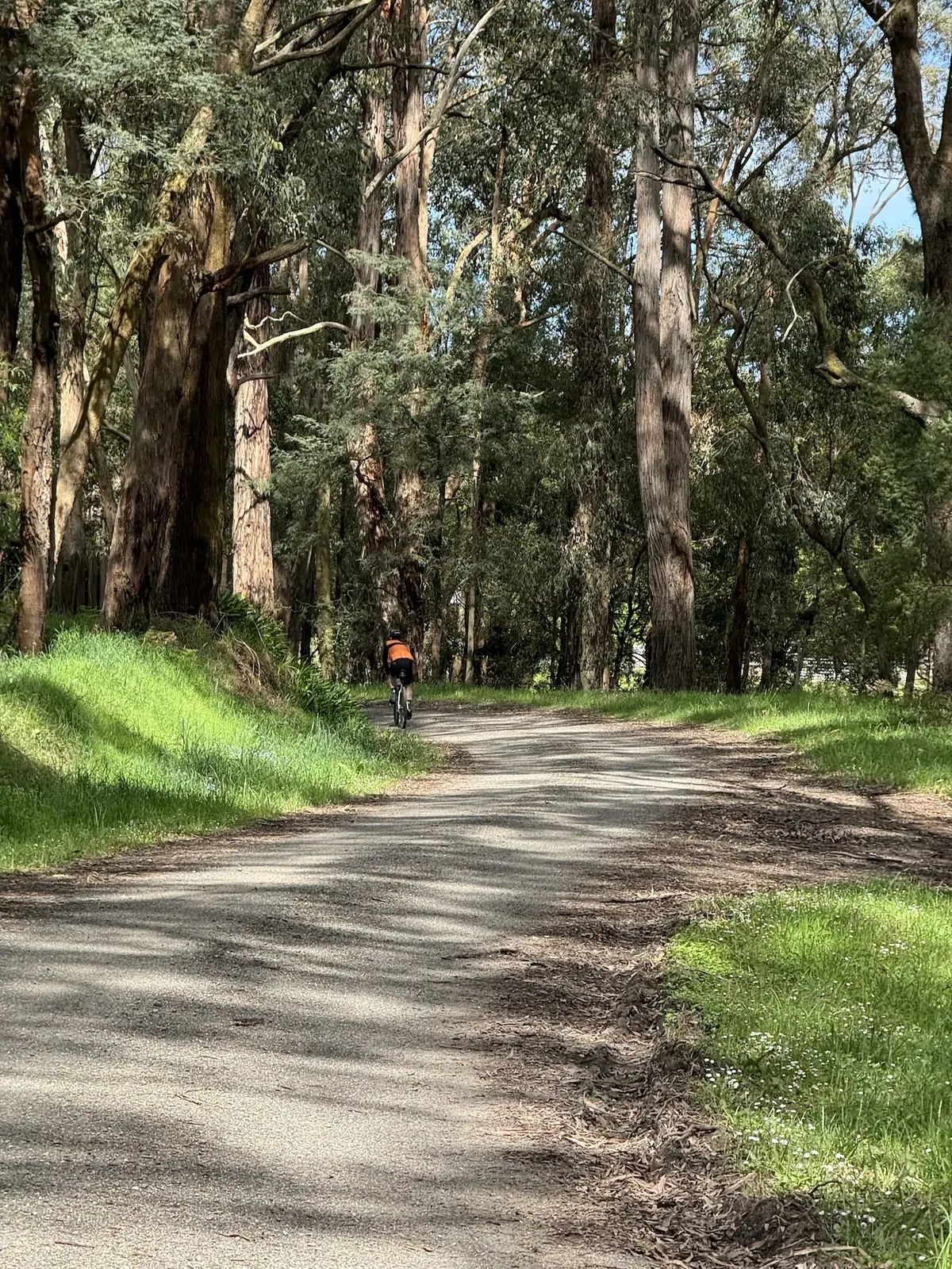Search for the Bunyip, Audax ride photo