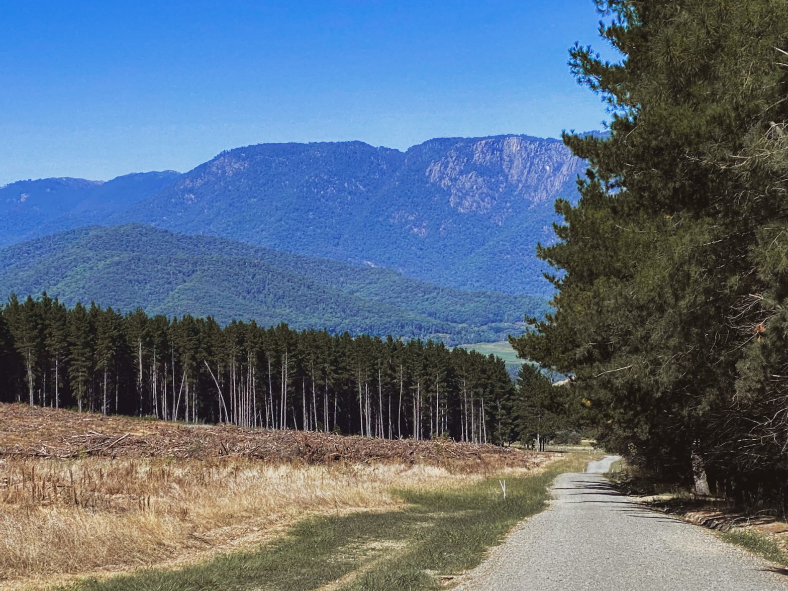 Mt Porepunkah Views