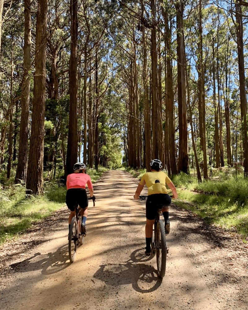 Gravel-Macedon-The-Route-8x10-1