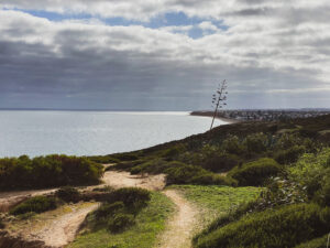 Single track out of Seaford